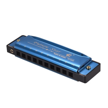 Harmonica diatonique de clé en do Mouthorgan avec anche en ABS Miroir design de la surface des 10 trous Harmonica blues parfait pour les débutants