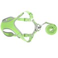thumbnail image 2 of Hilitand Dog Adjustable Harness, Soft Mesh Fabric Dog Harness With Leash For Decorations For Souvenir For Gift For Pet, 2 of 8