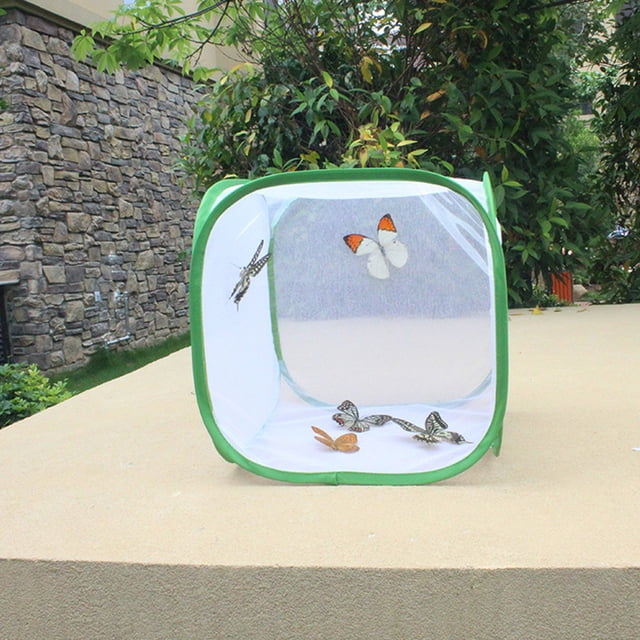 Cage d'insectes en Maille, Serre à papillon, Maison de papillon Portable Ventilée (Taille : S)