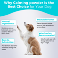 thumbnail image 4 of Welsdom Pets Soothing Paws Herbal Blend - Calming Powder | Natural Stress Relief for Dogs | Promotes Relaxation & Mood Enhancement | Easy-to-Use Adaptogenic Formula, 4 of 6