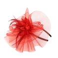 thumbnail image 1 of Kcodviy Women Wedding Mesh Hat Racks for Baseball Caps Closet Fascinator Penny Ribbons and Baseball Caps Bulk Women Feathers Party, 1 of 2