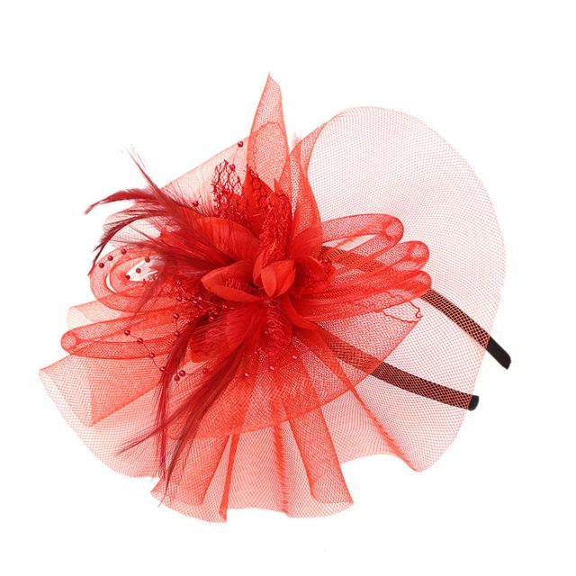 Kcodviy Women Wedding Mesh Hat Racks for Baseball Caps Closet Fascinator Penny Ribbons and Baseball Caps Bulk Women Feathers Party