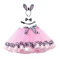 thumbnail image 1 of XDZJLR Jupe pour Filles Nouvelle Série Tutu en Double Maille Robe de Spectacle Performance Fête Shortie, 1 of 2