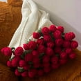 thumbnail image 2 of Crochet Kit for Beginners Beausougon Crochet Blanket Set for Beginners Rose Bouquet Grandma Pattern Learning Crochet, 2 of 2