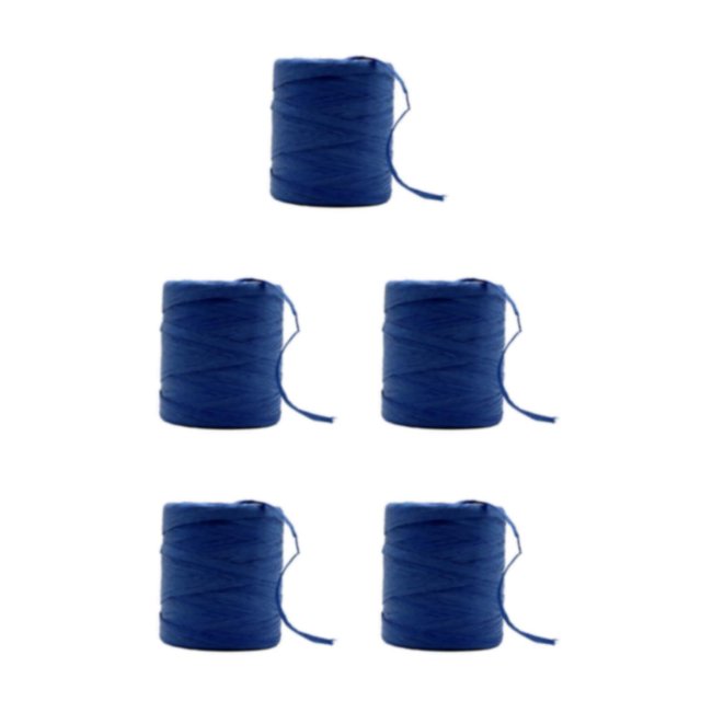 Baohd Fil de Corde en Raphia Robuste et Durable pour Bricolage Ruban en Papier Naturel Fil de Crochet Uni Bleu Saphir 5Ensemble