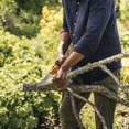 thumbnail image 3 of Fiskars 7 Inch Folding Saw, 3 of 8