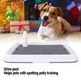 thumbnail image 4 of Dog Toilet High Fence Odor Proof Easy Clean Plastic Pee Pad Holder Pet Potty Tray for Small Dogs, 4 of 7