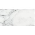 thumbnail image 1 of CARRARA MARBLE Tuile de Métro 3 X 6 Po VENATO Huilé (4 Échantillons), 1 of 2