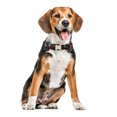 thumbnail image 3 of XZNGL Ethnic Pattern Personalized Half Metal Cotton Collar Pet Dog Collar, 3 of 9