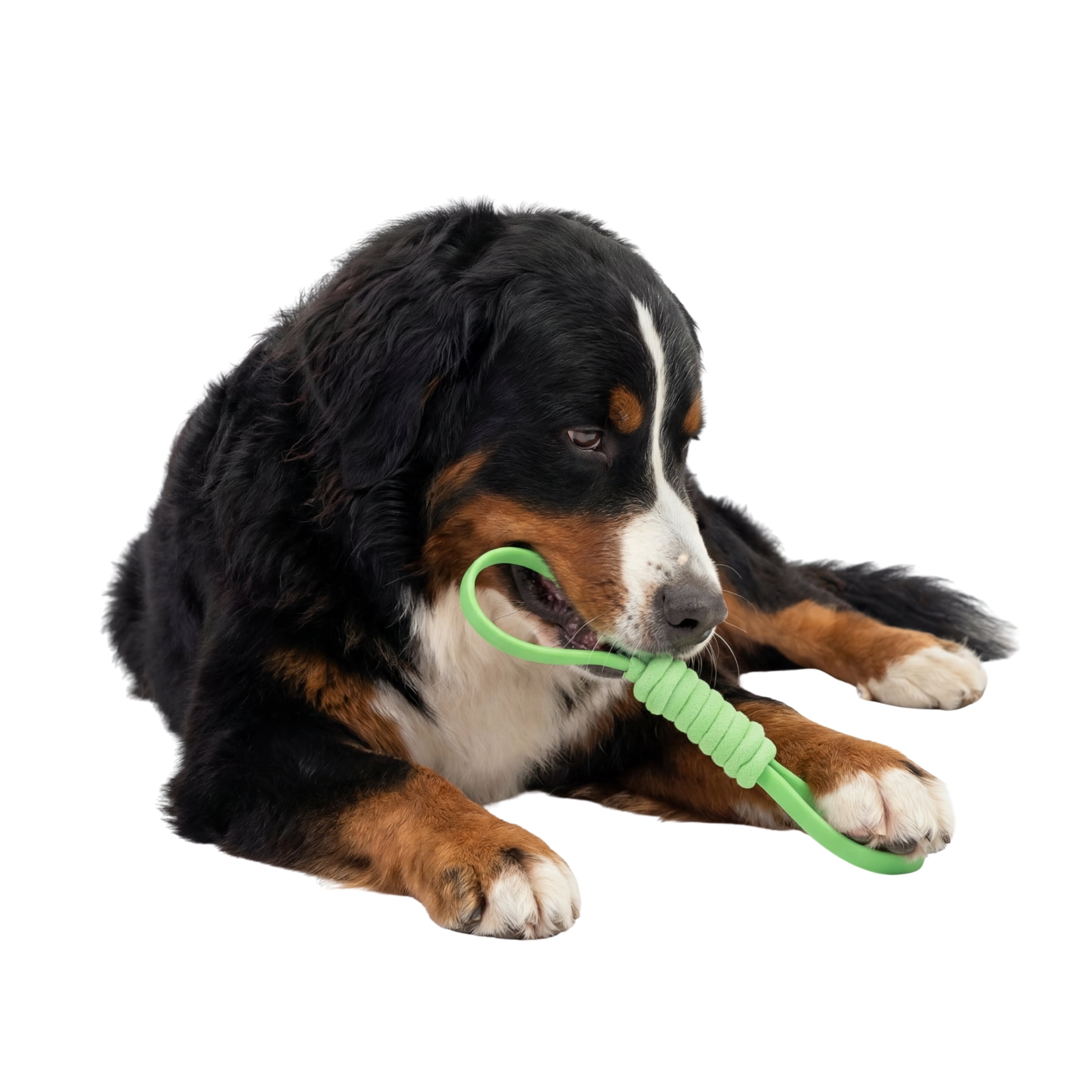 One Paw, jouet à tirer en silicone et corde pour chien, tir à la corde, vert, pour chiens