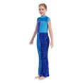 thumbnail image 3 of Sinleey Combinaison Sans Manches à Sequins pour Filles Combinaison Chat Latin Jazz Moderne Danse de Salon Bleu 8, 3 of 7
