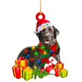 thumbnail image 1 of Christmas Dog Decorations Pendant Hanging Ornament Gift Party For  Tree Unique Design Multicolor Pendants 6Pcs, 1 of 12