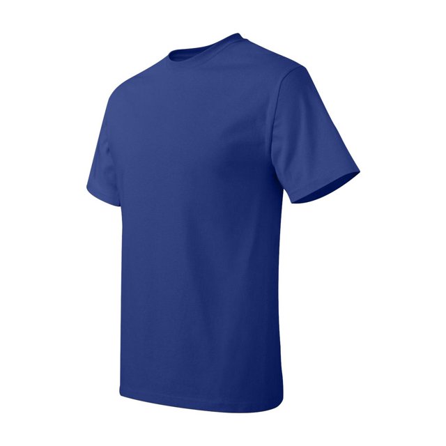 Hanes Men's Authentic-T T-Shirt - 5250T (Pack Of 5)