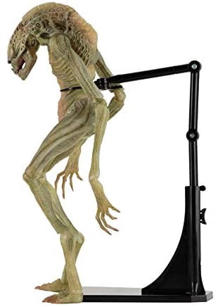未使用品 NEWBORN ALIEN 1/5 エイリアン スケール フィギュア Aliens 7