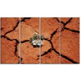 thumbnail image 2 of Surviving Flowers on Drought Land - Extra Large Landscape Canvas Art, 2 of 3