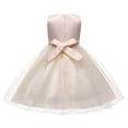 thumbnail image 4 of Robes pour Tout-Petites Fille Volants Robe en Tulle pour Bébé Fille Robe de Printemps pour Filles Robe de Fête pour Filles Robes pour Bébé 3-4 Ans, 4 of 4