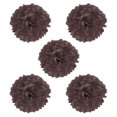 thumbnail image 1 of Uxcell 8" Tissue Pom Poms Paper Flowers Ball Wedding Party Decoration, Brown 5 Pack, 1 of 6