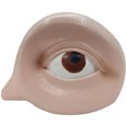 thumbnail image 1 of (Human Eyes 8142) Funny Eyes Fruit Creepy Toy Ornament, 1 of 12