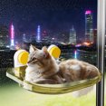 thumbnail image 3 of All Season Window Cat Bed for Indoor Cats Featuring Strong Suction Cups and a Comfortable, 3 of 6
