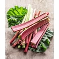 thumbnail image 4 of GSDWIUEW Seeds Rhubarb Victoria 35 Days Garden Heiroom Vegetable for Planting, 4 of 8