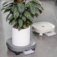 thumbnail image 4 of LCXmlly Flowerpot Moving Tray Movable Flower Pot Tray with Wheel Strong Bearing for Garden Use, 4 of 6