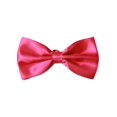 thumbnail image 1 of Nœud Papillon Pré-Noué dans une Boîte-Cadeau - Rose Néon, 1 of 1