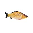 thumbnail image 3 of Milaget Hugging Pillows Doll Adorable Decorative Multipurpose Simulation crucian carp 60cm, 3 of 9