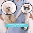 thumbnail image 5 of Cône de Récupération pour Animaux, Abs Ajustable, Collier de Sécurité Confortable Anti-Morsure pour Petit Chien (L), 5 of 5