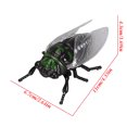 thumbnail image 3 of Fufafayo Jouets d'Insectes Réalistes pour Jeu Éducatif, Collection Interactive d'Insectes, Modèles d'Insectes en Plastique pour l'Apprentissage de la Biologie, Jouets Scientifiques Intérieur Extérieur pour Enfants Décoration de Fête en Classe, 3 of 8