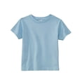 thumbnail image 1 of Rabbit Skins Toddler Cotton Jersey T-Shirt, 1 of 2
