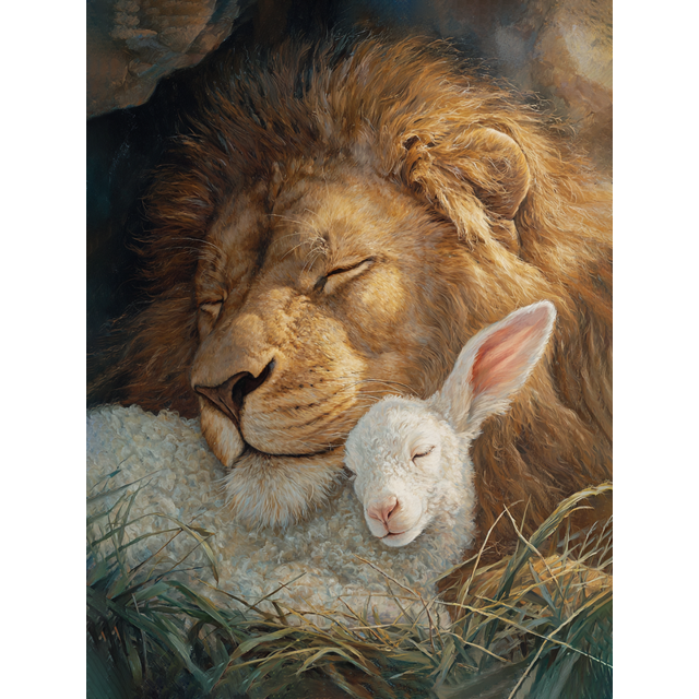 Lion And Lamb Sleeping Canvas Wall Art 15.75x11.81 Inches