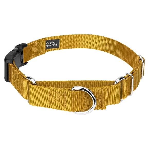 Country Brook Petz Heavy Duty Nylon Adjustable Martingale Dog Collar with Deluxe Buckle for Small Medium Large Breeds - 30+ Vibrant Color Options (5/8 Inch Extra Small Gold)