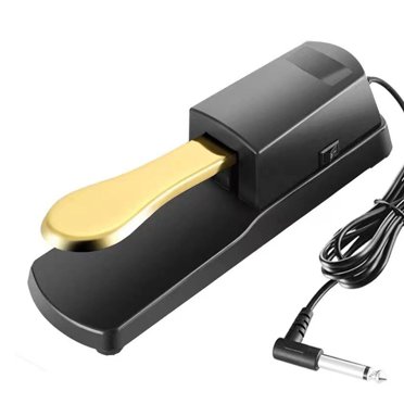 Esquirla Pédale de Sustain de Piano Silencieuse 6,5 mm Pédale de Pied pour Pianos Numériques Entraînement de Batterie 2 Sustain
