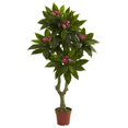 thumbnail image 1 of Nearly Natural 5394 Arbre de Plumeria 5 Pieds Résistant aux UV - Intérieur-Extérieur, 1 of 1
