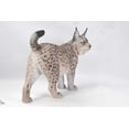 thumbnail image 3 of Décoration de Jardin Statue d'Animal Statue de Lynx, 3 of 4