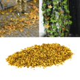 thumbnail image 2 of serony Miniature Fallen Leaf Model Building Material Ornaments Decoration yellow, 2 of 9