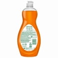 thumbnail image 4 of Palmolive Ultra Dish Liquid, Orange Scent, 591 ml Bottle, 4 of 5