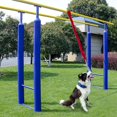 thumbnail image 3 of SIfdSeng Dog Teething Toy Indoor Door Pull Rope Toy Dog Tug of War Dog Toy Suitable for Dogs and Cats Chewing Toys Puppy Teething Toys Puppy Teething Toys Small Breed, 3 of 7