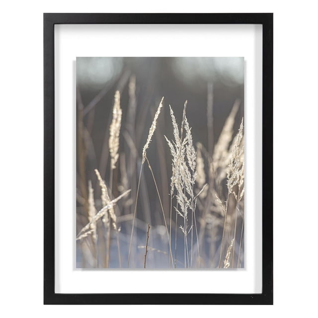 hometrends Gallery Float Black Picture Frame holding a 14 by 18 inch vertical photo of beige dried grasses with a blurred natural background, featuring a black frame with clean lines and white matting, designed for wall mounting in home décor as a stylish wall frame or photo display option.
