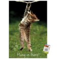 thumbnail image 1 of Célèbre chaton accroché là-bas Poster, 1 of 5