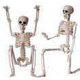 thumbnail image 2 of ZTTD 2 PCS Posable Halloween Skeleton Decor 16 Inches, Full Body Posable Joints Hanging Skeletons for Halloween Decorations, Graveyard Props, Haunted House Accessories, Front Lawn (Style2-Beige), 2 of 9
