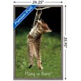 thumbnail image 3 of Célèbre chaton accroché là-bas Poster, 3 of 5