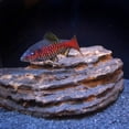 thumbnail image 5 of Seachem Traitement de l'Eau Régulateur Neutre, 250g, 5 of 5