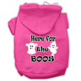thumbnail image 1 of Here For The Boos Sweat à Capuche pour Chien, Rose Vif, m (12), 1 of 1