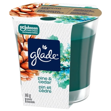 Glade® Scented Jar Candle Air Freshener, Pine & Cedar