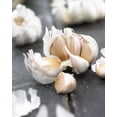 thumbnail image 1 of Tasc Garlic Bulb- Garlic Ail Allium Sativum, 1 of 2