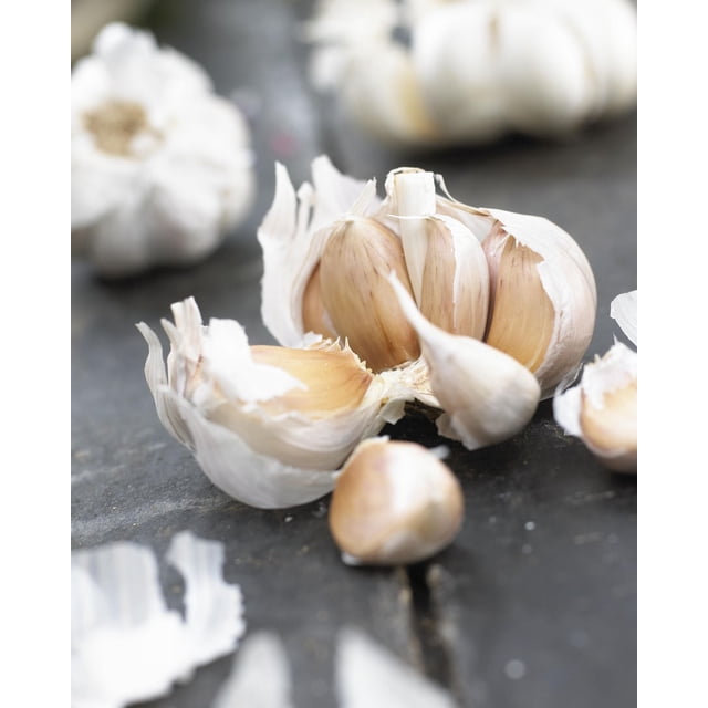 Tasc Garlic Bulb- Garlic Ail Allium Sativum showing a close-up of a partially peeled garlic bulb with light brown cloves on a dark surface, with whole garlic bulbs blurred in the background, highlighting its use as a cold-hardy root vegetable suitable for home gardens and cooking.