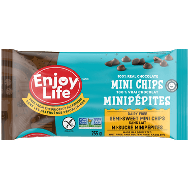 Enjoy Life Semi-Sweet Mini Chips, Gluten Free, Peanut Free, Tree Nut Free, Milk Free, Soy Free, Non-GMO, 283 g
