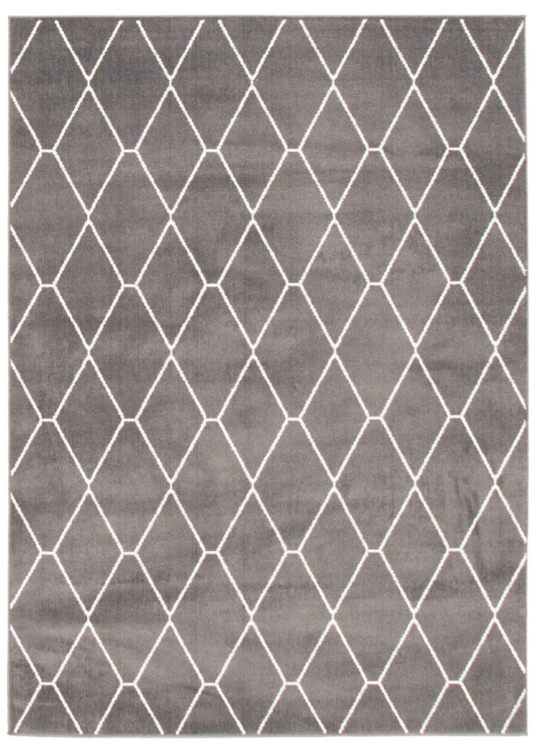 Tapis ECARPET Contemporain pour Salon, Chambre à Coucher, Salle Manger