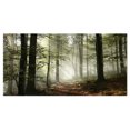 thumbnail image 2 of Tableau moderne imprimée sur toile Design Art Lumière en foret, 2 of 3
